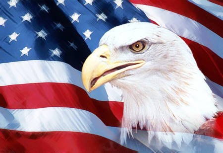 US Flag Eagle 2