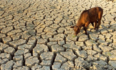 drought water scarcity 15