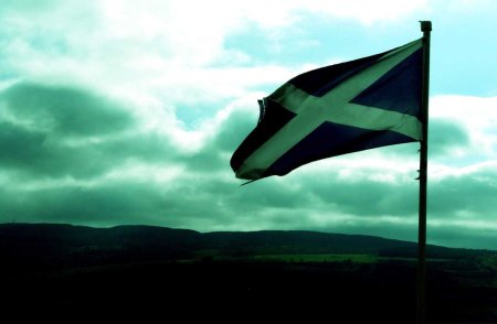 Scottish Flag 4